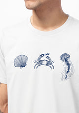 Sea Life