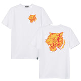 Tigre gama Colors
